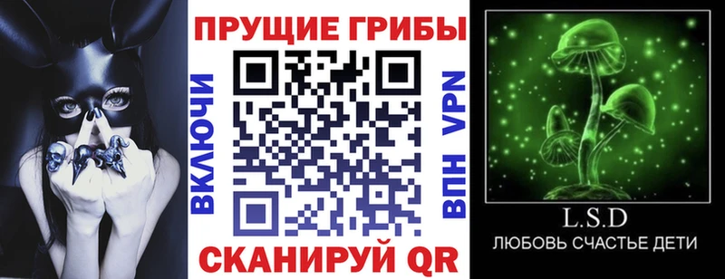 Псилоцибиновые грибы GOLDEN TEACHER  как найти закладки  Кудымкар 
